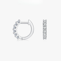 D Color Moissanite Small Hoop Earrings – 925 Sterling Silver